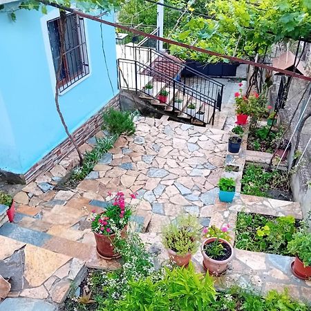 Guest House Eloid Berat Exterior photo