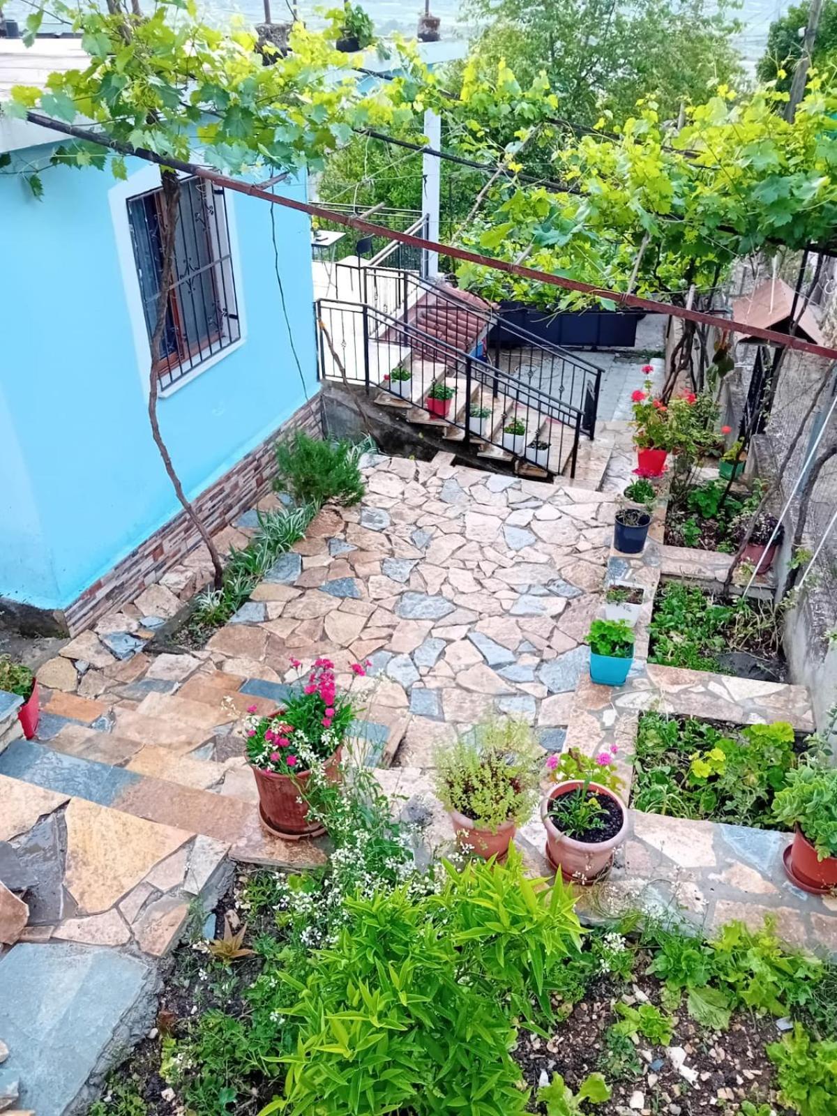 Guest House Eloid Berat Exterior photo
